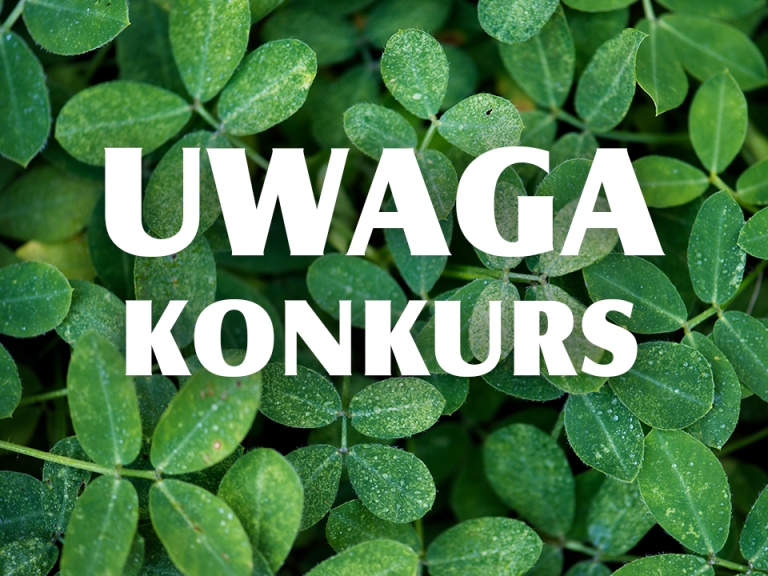 konkurs_majowka